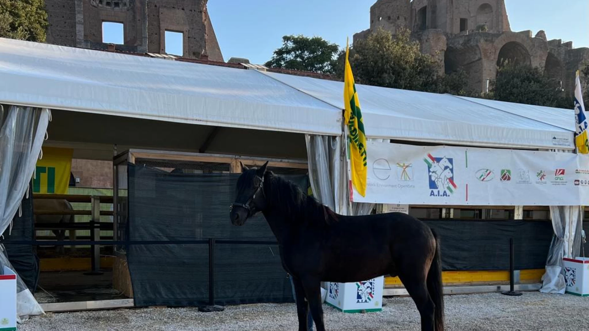Il cavallo Pentro e la scuola di Equitazione “Il Ginepro” di Isernia protagonisti al Circo Massimo di Roma in occasione di villaggio Coldiretti.